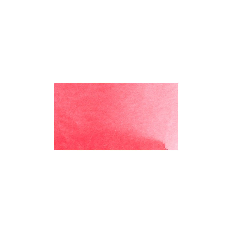 rose d'outremer