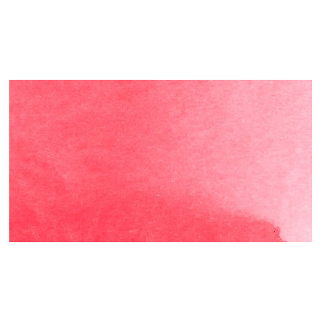 rose d'outremer