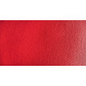 Voir la slide Rouge de pyrrole Isaro
