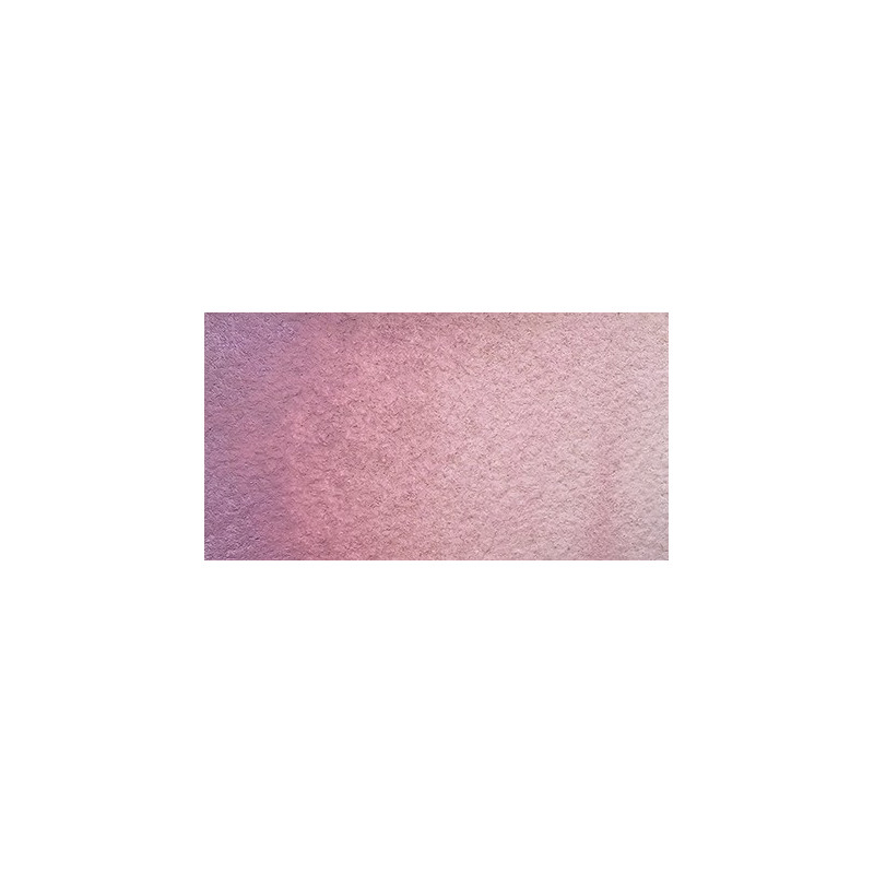 Podery rose