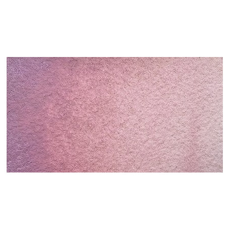 Podery rose