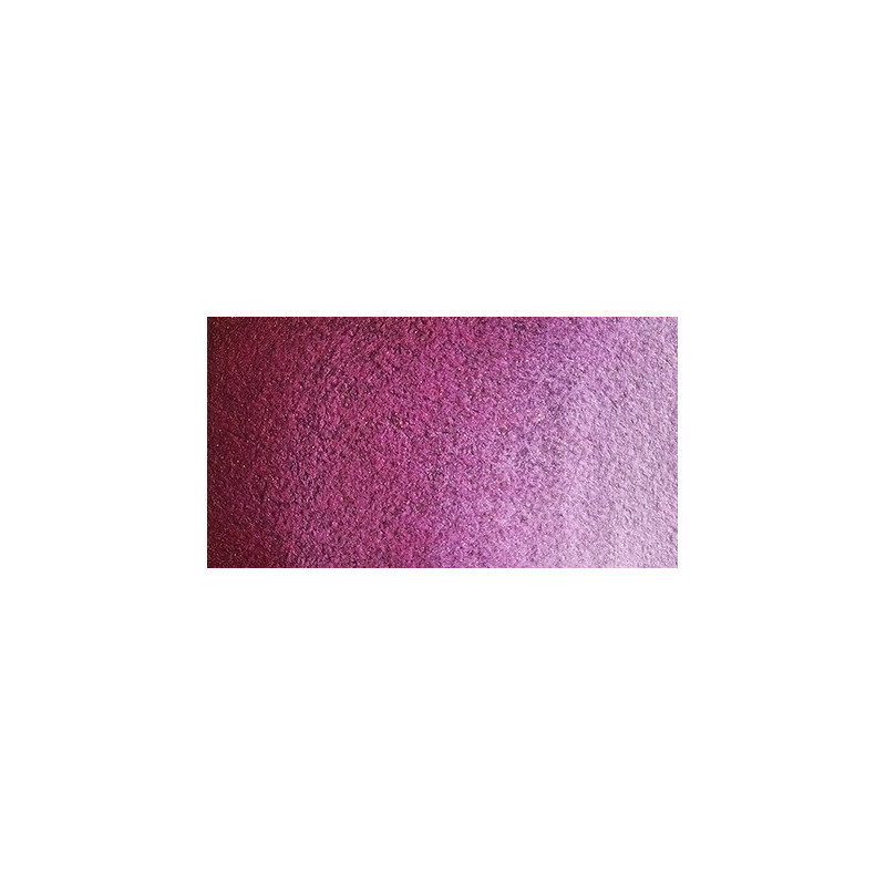 Rose austral