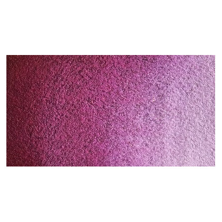 Rose austral