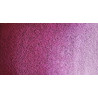 Voir la slide Rose austral