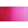 Voir la slide Rose Isaro