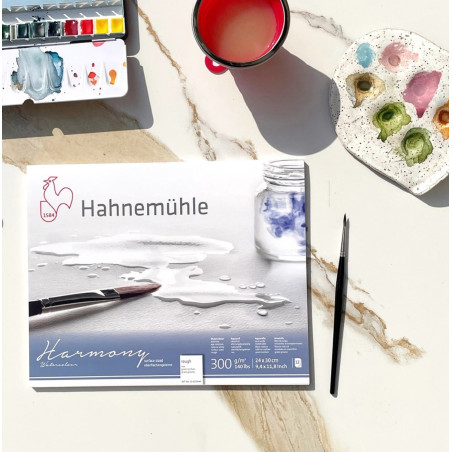 Harmony - Grain torchon - 300g/m2 - Hahnemulhe