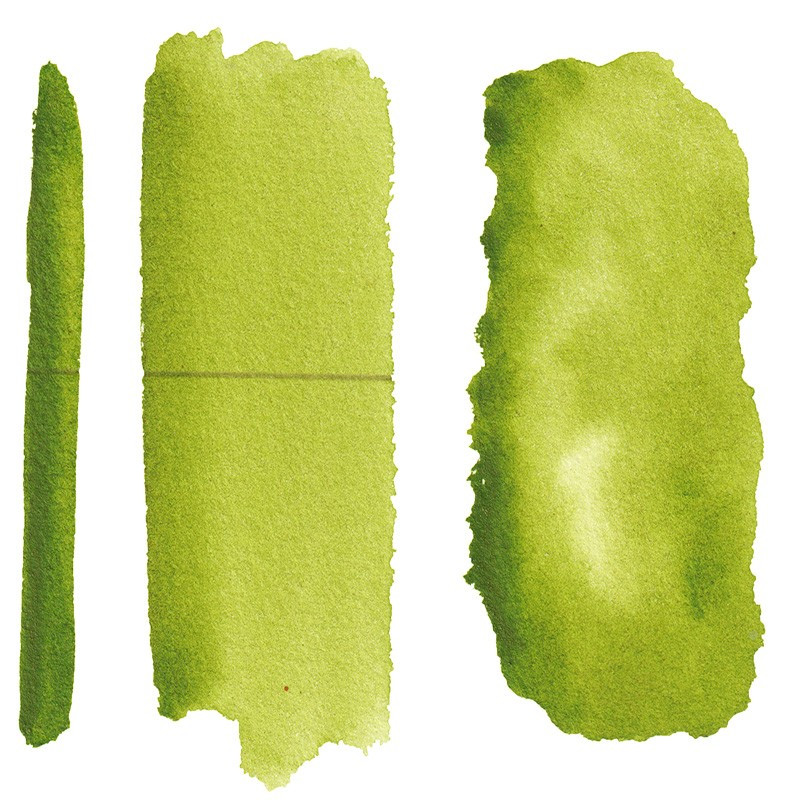 Vert de vessie