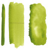 Voir la slide Vert de vessie