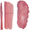 Voir la slide Rose Beverly