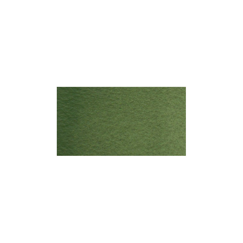 Vert oxyde de chrome