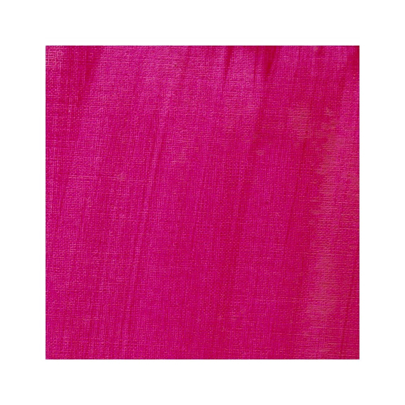 Isaro rose