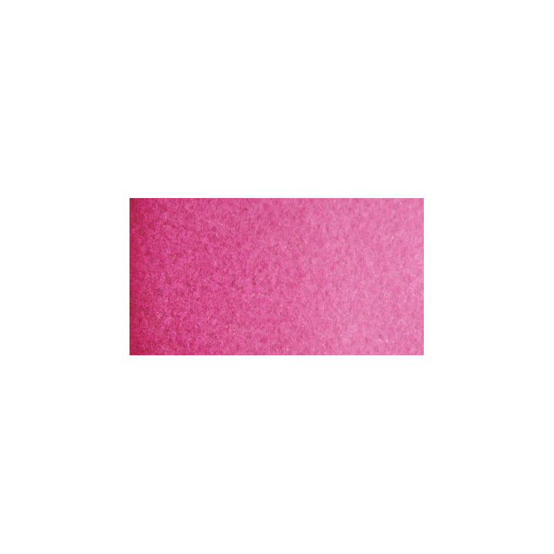 Rose Isaro                             Isaro rose