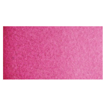 Rose Isaro                             Isaro rose
