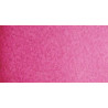 Voir la slide Rose Isaro                             Isaro rose