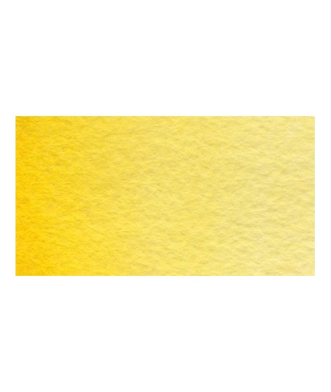 Isaro yellow